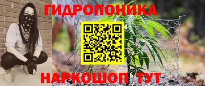 мяу мяу мука Заволжье