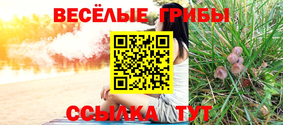 Псилоцибиновые грибы Cubensis  Вход с VPN  Шахты  купить  цена  Галлюциногенные грибы MAGIC MUSHROOMS 